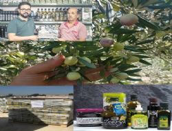 Mut Zeytinyağı ihracatı ile dışa açıldı